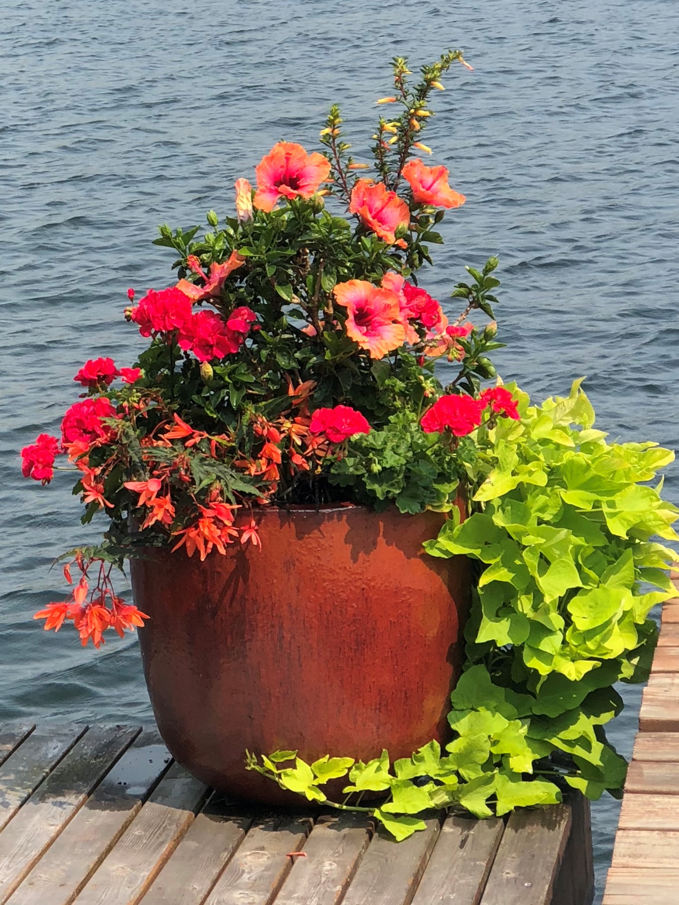 Summer Container Planting in a Copper-Red Glazed Ceramic Pot