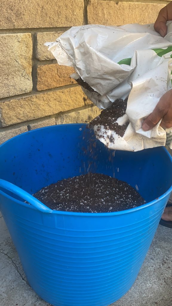 Choosing a good potting soil