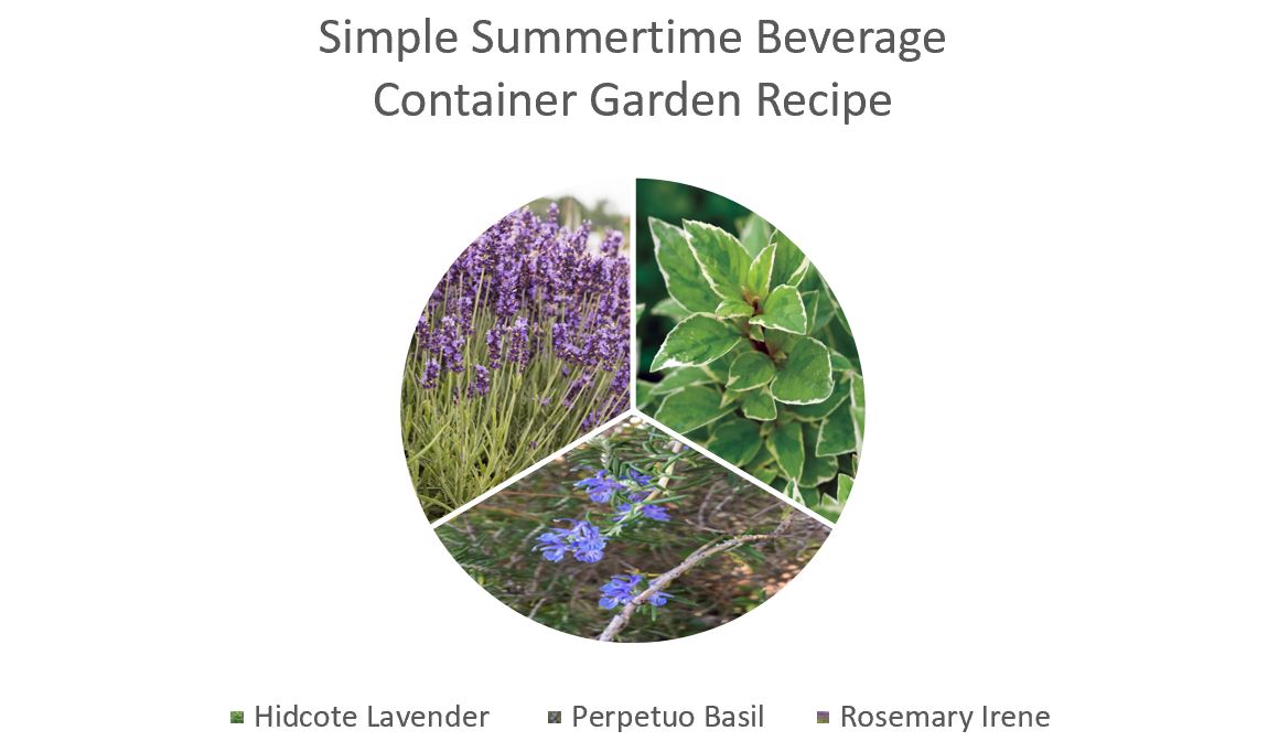 Summertime Beverage Herb Garden Recipe