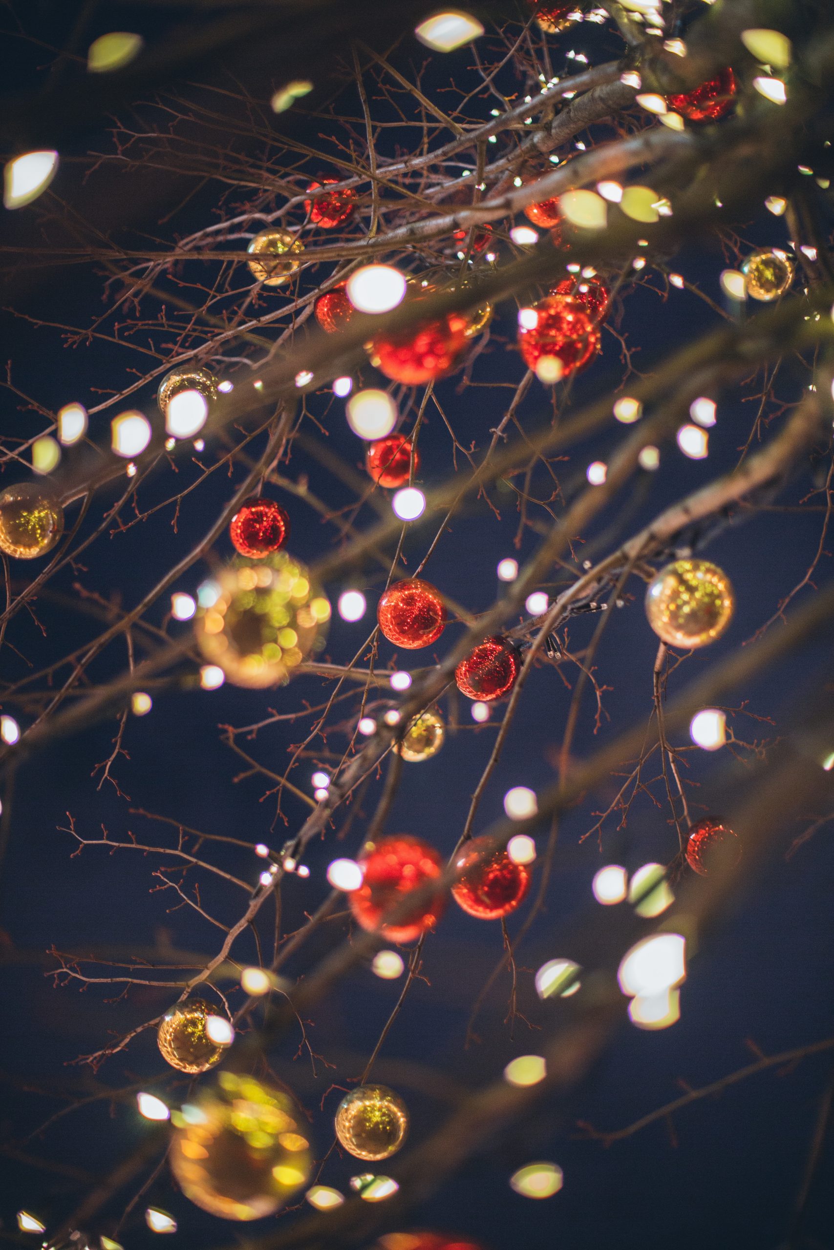 Tree branches decorated with twinkle lights and ornaments 