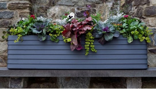 Fall Planting in Crescent Garden Trough