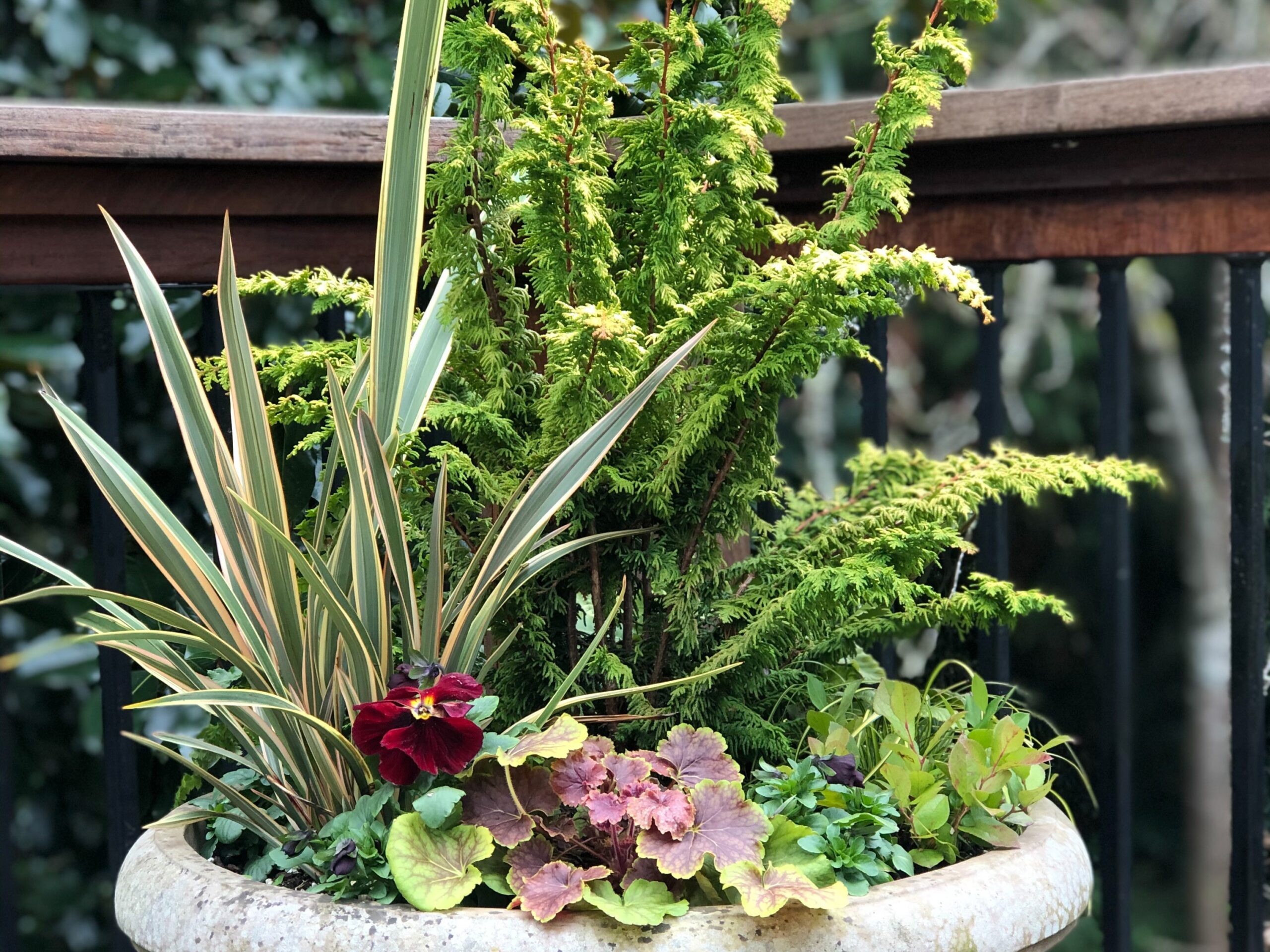 Autumnal vibes reverberate from this foliage focused planting.