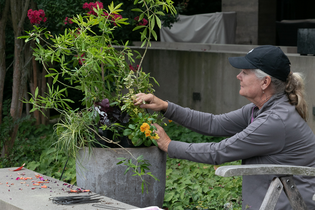 Women Container Gardening with intention and joy